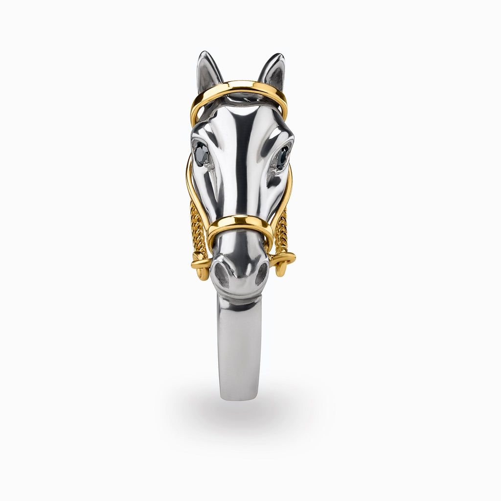 Bridle Up Ring