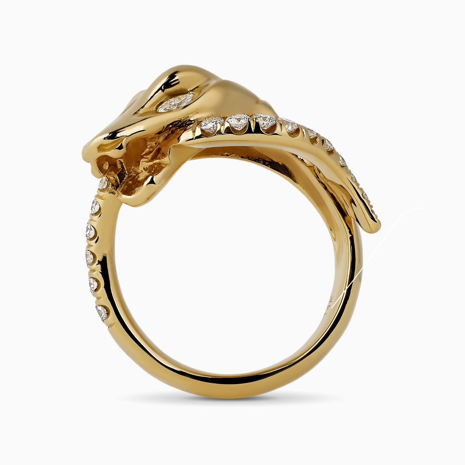 Coiled Ouroboros Ring